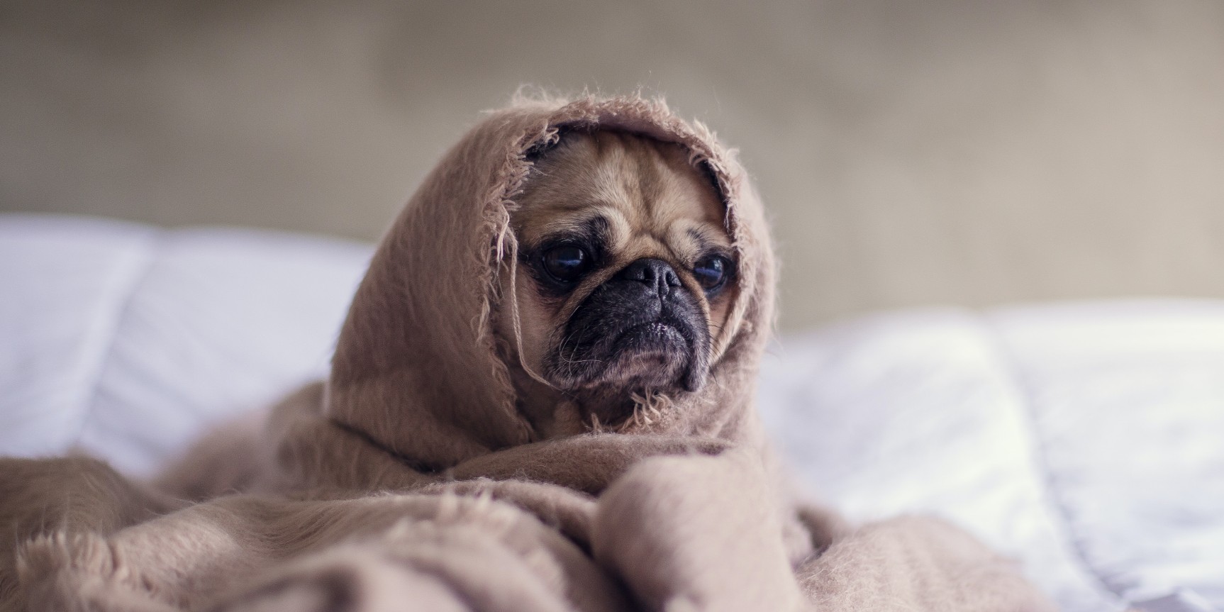 How to Manage Stress and Anxiety During a Pandemic